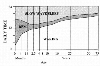 Sleep With Age